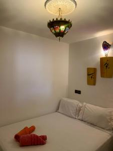 Riad Khadeja scorpion