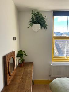 Sauna flat Central Brighton