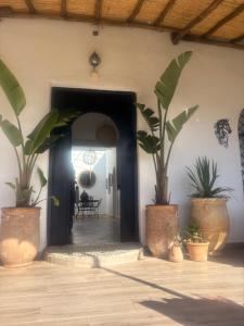 PARADISO Horse Club