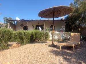 PARADISO Horse Club
