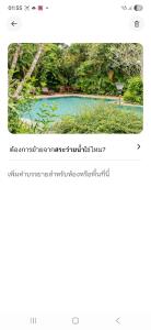 Tree Resort Palai
