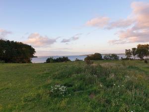 5 person holiday home in Aabenraa-By Traum