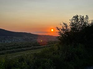 Villa Hühnerbunt BnB Kraftort 5737 Menziken