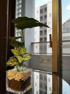 エクセレント高津801