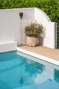 No 4 Newrybar Hinterland Retreat