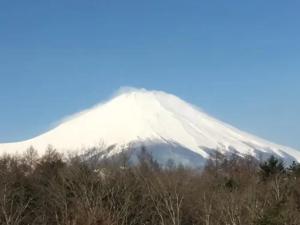 癒しと潤いの杜 空雲土