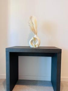 New 2bd 2ba Condo Heart of Downtown