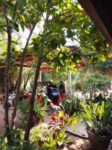 new sigiriya hostel
