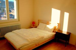 Big Villa in Sainte-croix