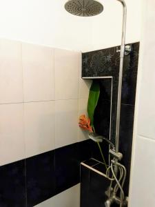 Mangrove Beach Houses