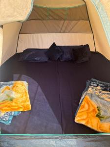 Foggy Farm House Vattavada