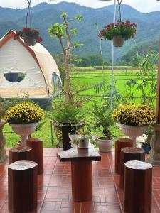 Sống Chill Homestay