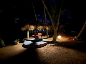 Coconut beach