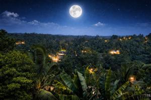 Sayul Villa Unawatuna by Nature view