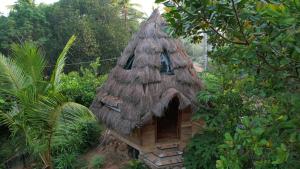 Tiny Temple Ayurvedic Retreat Center