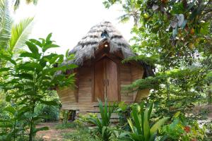 Tiny Temple Ayurvedic Retreat Center