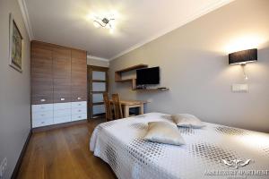 Luxury apartment Vytauto 16