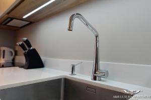 Luxury apartment Vytauto 16