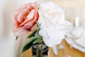 Golden Apartments Wroclaw - Rynek Square - Monopol