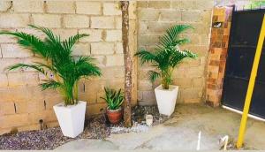 rustic cabin with private pool