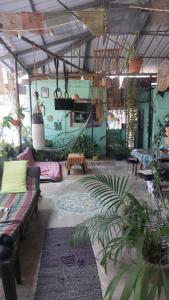 mountainview homestay
