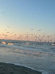 Charmant studio vue dunes à 400m de la plage