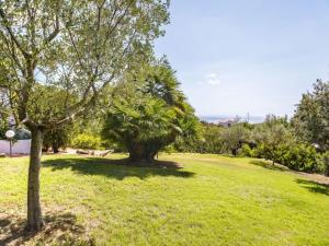 Villa Patrizia img31