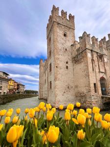 Syrmioncello - Castle Lounge img10