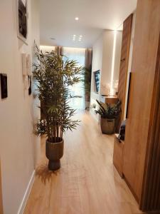 ASTY10 Executive 1BR
