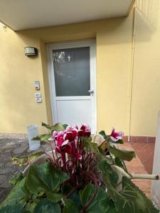 Il Cardellino di Gabicce - Your Refuge