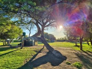 Tented Camp in Augrabies