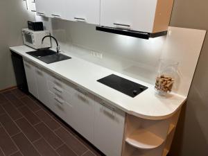 Ludza Comfort Apartment