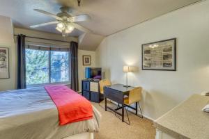 Studio condo with pool & hot tub - disability access near the slopes