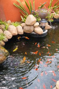 Farmstay Nhà Xưa Vĩnh Hy