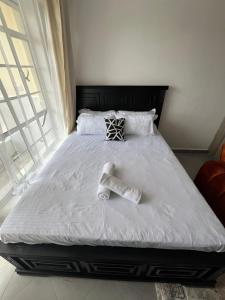 Haza cozy homes