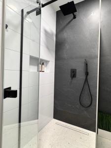 Modern Apartment in the Center of Żory