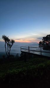 Wild wayanad resort