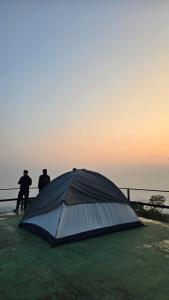 Wild wayanad resort