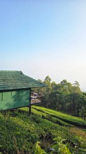 Wild wayanad resort
