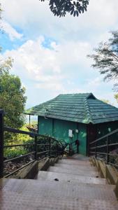 Wild wayanad resort