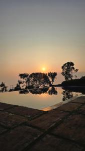 Wild wayanad resort