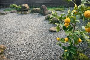 SoKa伊東车站开车10分钟 大室山开车15分钟