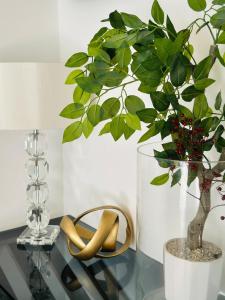 Lovely 4bed penthouse 3 baths and pretty courtyard