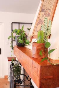 Deluxe Apartment Ren