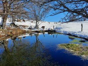 Séjour à la ferme au cœur de l`Aubrac