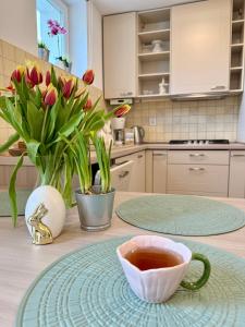 AL-DOM Apartamenty Zaciszny