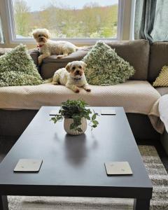 Family base with on site pool near Hastings beach