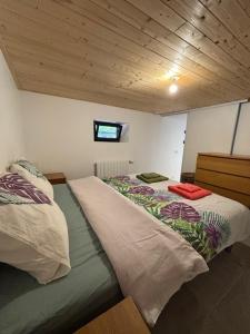 Belle maison familiale avec piscine et dépendance à 2min du lac