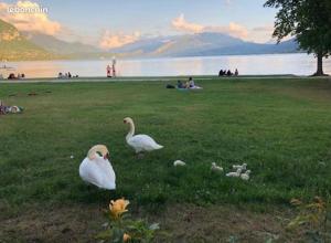 Belle maison familiale avec piscine et dépendance à 2min du lac