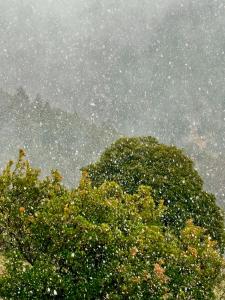 Kalavryta Villa Nano with fireplace and next the Ski Centre